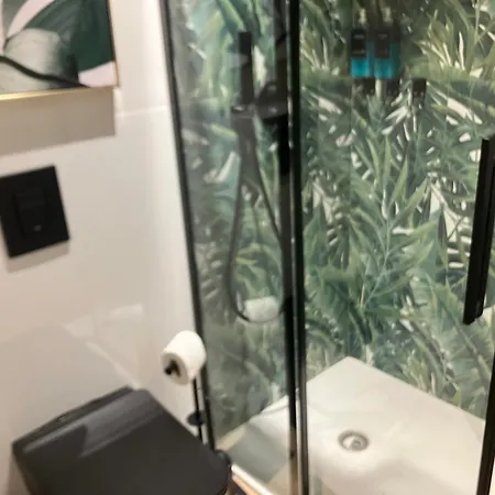 Carlo Alberto Casa *